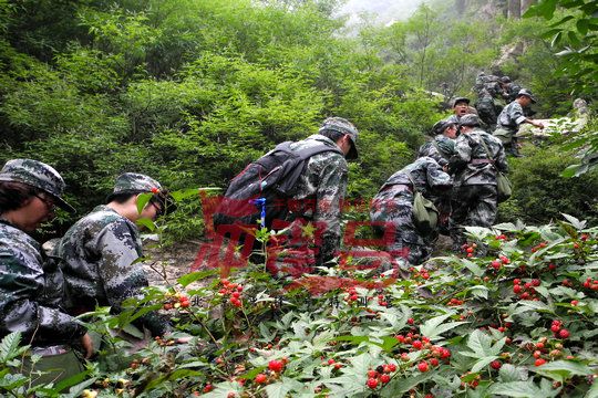 北京军训:北京西点劲旅学员军训有感分享