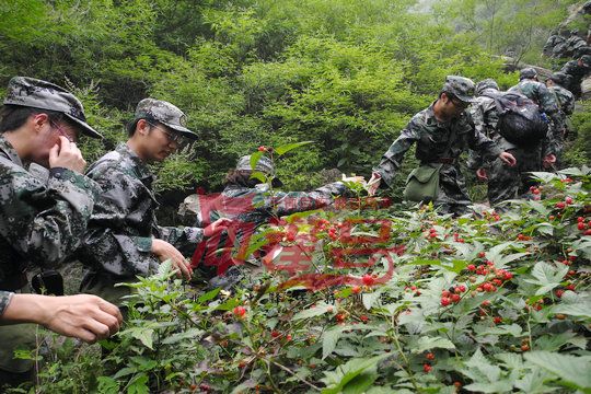 北京军训:不轻言放弃,勇敢挑战和突破自我