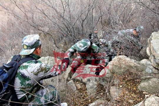 北京军训:立即行动,在果敢中成长