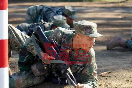 北京军训:面对纷杂的事物,你必须学会适时地放弃,放弃是一种睿智的选择